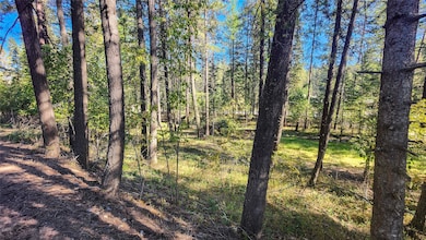 1505 Kootenai River Rd, Libby, MT 59923 - photo 2