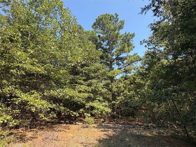 0 Fm 69 unit 24739380, Como, TX 75431 - photo 2