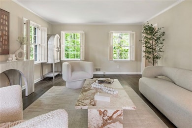 Living area featuring ornamental molding, dark wood finished floors, and baseboards
