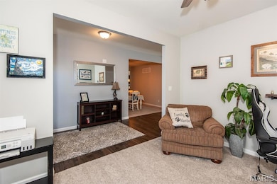 202 Burrograss Dr, Wentzville, MO 63385 - photo 5