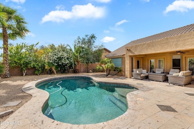 Backyard Pool and Patio