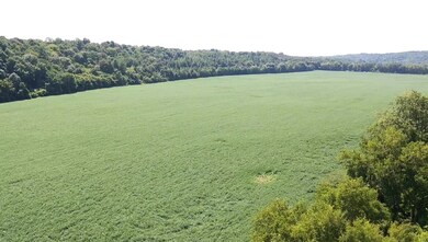 0 Slink Shoals Rd unit 2102638, Linden, TN 37096 - photo 2