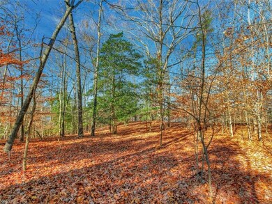 TBD Marina Dr, Surry, VA 23842 - photo 5