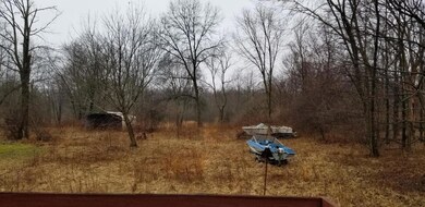 wooded lot