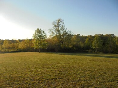 7920 Reynoldsburg Rd, Springville, TN 38256 - photo 5