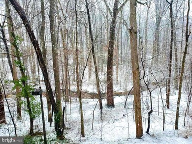 2110 Green Watch Way unit 201, Reston, VA 20191 - photo 2