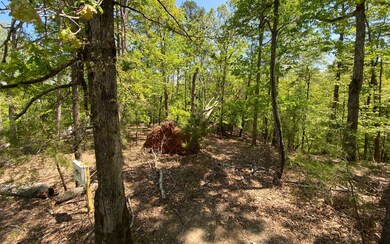 Additional View