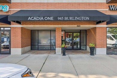 Acadia on the Green unit 203, Downers Grove, IL 60515 - photo 3