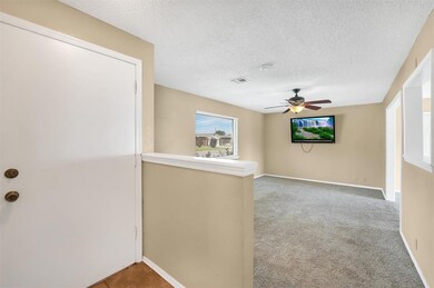 ENTRY WAY INTO LIVING AREA