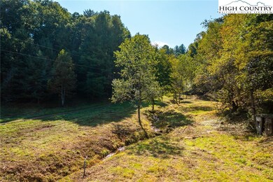 TBD Highway 88, Laurel Springs, NC 28644 - photo 4