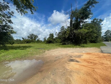 0 Carters Mill Rd unit 730122, Marianna, FL 32446 - photo 7