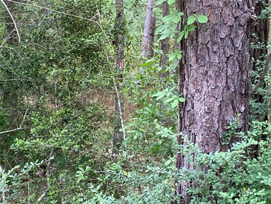 21195 Carter Rd, Splendora, TX 77372 - photo 6