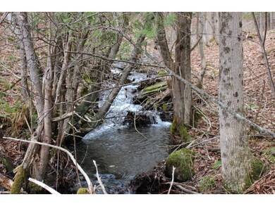 801 Brookfield Rd, Berlin, VT 05602 - photo 4