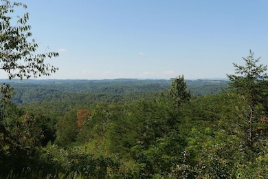 0 Hall Hollow Rd unit LotWP001 24773382, Austinville, VA 24312 - photo 4