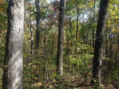 view 4