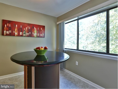 8009 Greenspring Way unit E, Owings Mills, MD 21117 - photo 6