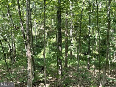 0 Mill Hill Rd, Warfordsburg, PA 17267 - photo 7