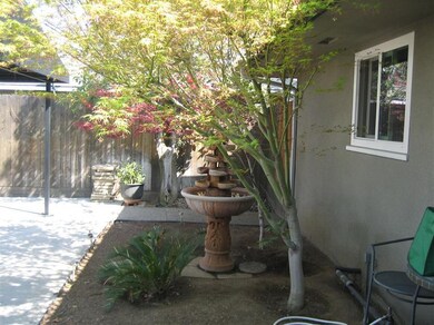 Front Garden Area
