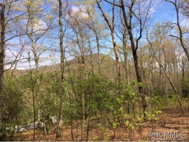 1805 Bella Vista Ct unit 127, Arden, NC 28704 - photo 2