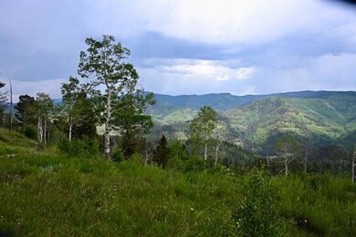 0 Highway 145 unit 42780, Dolores, CO 81323 - photo 4