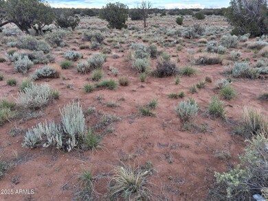 201 County Rd N5380 --, Concho, AZ 85924 - photo 7