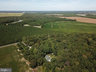 18938 Asketum Branch Rd, Georgetown, DE 19947 - photo 6