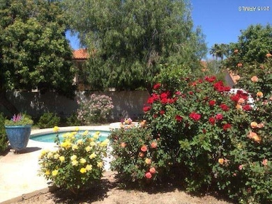 Rear yard previously