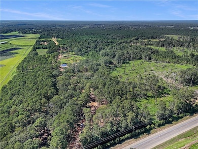 Lot 2 Hwy 16 None, Franklinton, LA 70438 - photo 6