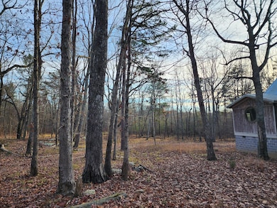 21766 Highway 157, Menlo, GA 30731 - photo 3