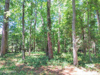 If you love trees, you'll love this plac