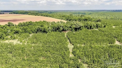 48 Watson Rd, Jay, FL 32565 - photo 3