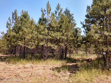 L3B1 N Sheep Springs Rd, Athol, ID 83801 - photo 2