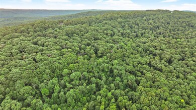 21480 N Highway 71, Winslow, AR 72959 - photo 5