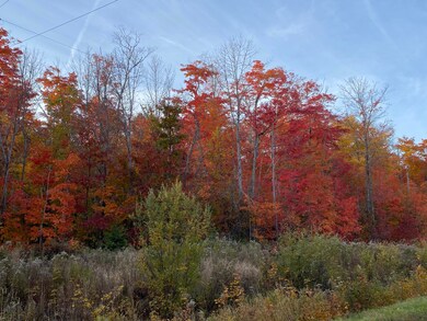 fall colors