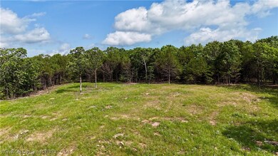 5565 Case Rd, Charleston, AR 72933 - photo 5
