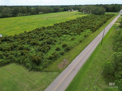 03 Northgate Dr, Atmore, AL 36502 - photo 4