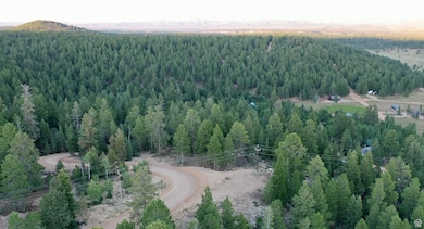 1730 E Willis Creek Cir unit 44, 45, Duck Creek Village, UT 84762 - photo 5