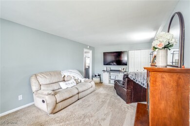 597 Herbert Rd, Akron, OH 44312 - photo 6