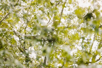 2778 Big Creek Dr SW, Bogue Chitto, MS 39629 - photo 6