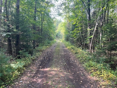 Easement Road