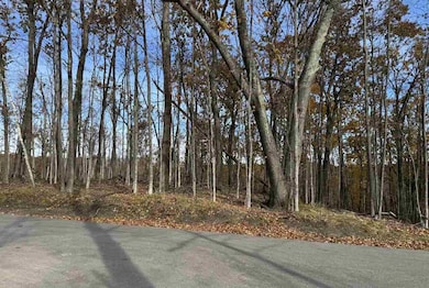 1625 Arrowhead, Harbor Springs, MI 49740 - photo 3