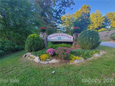 218 Baton Ln, Hoopers Creek, NC 28792 - photo 2