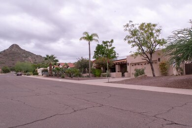Front Yard 6