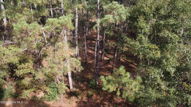 254 Falling Creek Ln, Goldsboro, NC 27530 - photo 4