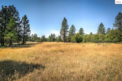 4.81 Acre parcel ready for building. This is Lot 2