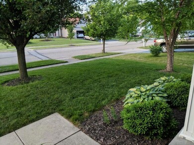Front yard