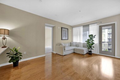 9-web-or-mls-_DSC4657
