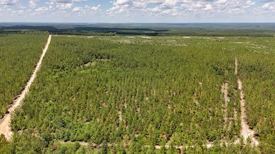 0 Beaver Dam Rd unit 25030820, Cassatt, SC 29032 - photo 6