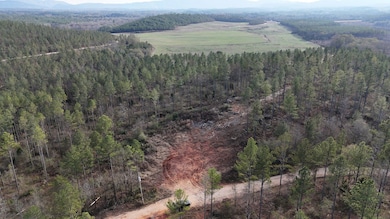 010 County Road 176, Piedmont, AL 36272 - photo 7