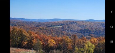 15106 Trace Branch Rd, West Fork, AR 72774 - photo 2